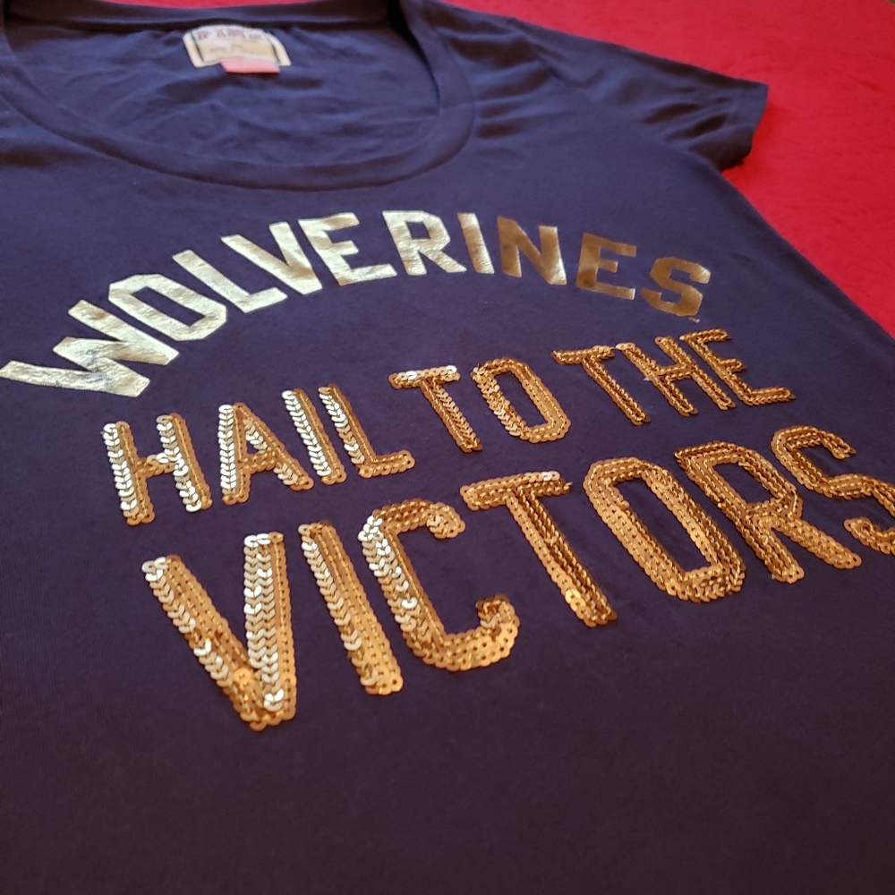 Michigan Wolverines Hail to the Victors Tee PINK - Picture 2 of 4